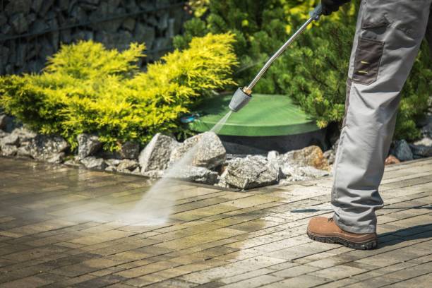 Best Oil Spill Cleanup  in Lake Fenton, MI