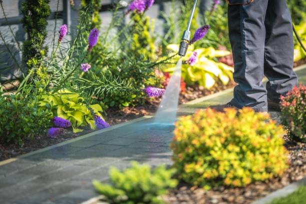 Best Winterizing Services  in Lake Fenton, MI